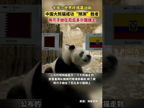 国乒名将林,高远在潇湘,晨报发表退,星空体育官网,星空体育下载,星空体育直播,星空体育互动,星空体育平台