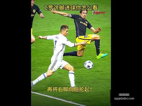 科拉希納茨,加盟法甲劲,旅马赛,星空体育官网,星空体育下载,星空体育直播,星空体育互动,星空体育平台