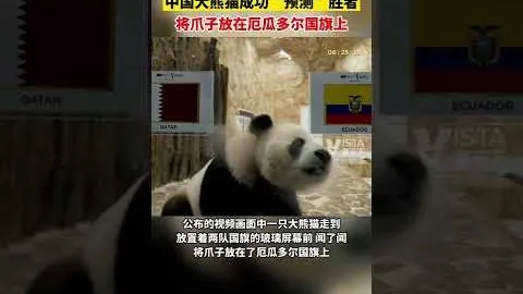 国乒名将林高远在潇湘晨报发表退役告别信